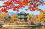 Tour Hàn Quốc - Seoul - Nami - Everland - Mùa Lá Đỏ